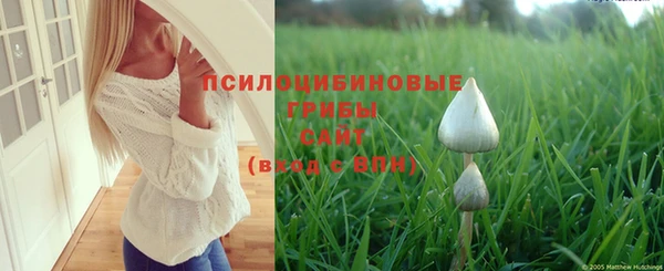 гидра Сясьстрой