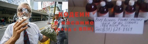 молекула духа Тайга