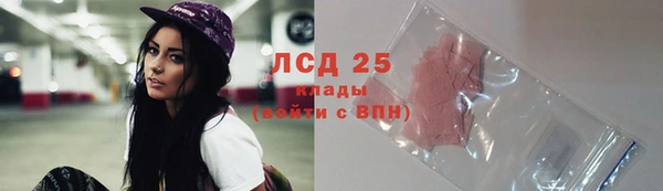 молекула духа Тайга