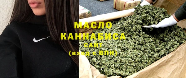 молекула духа Тайга