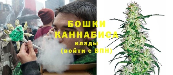 гидра Сясьстрой